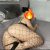 İki Vip Escort Bayan - Image 6 İki Vip Escort Bayan - Image 6