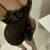 Genç Ateşli Escort Bayan - Image 1