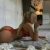 Yeni Vip Escort - Image 1 Yeni Vip Escort - Image 1